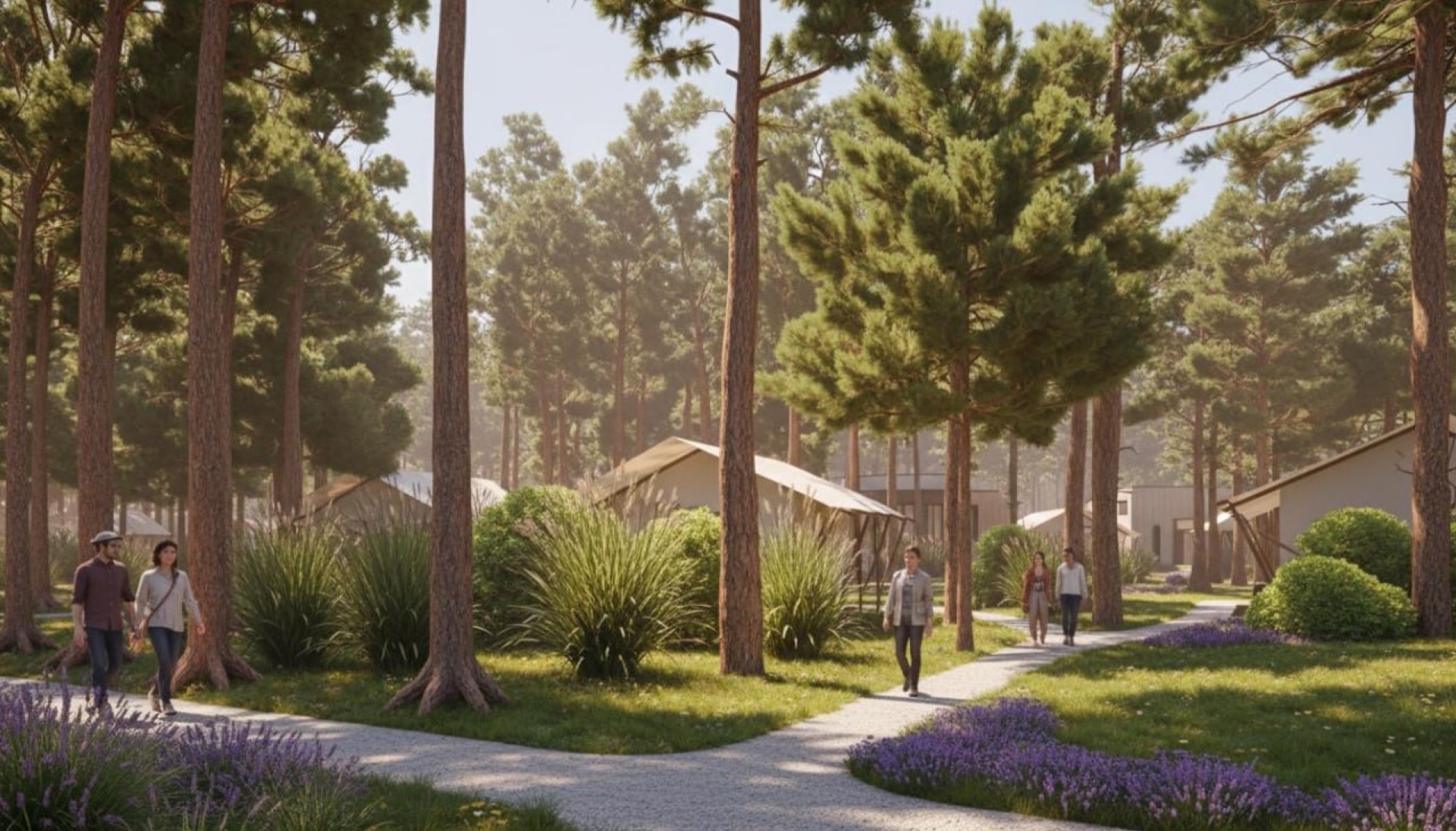 Лавандові стежки біля наметів Grove